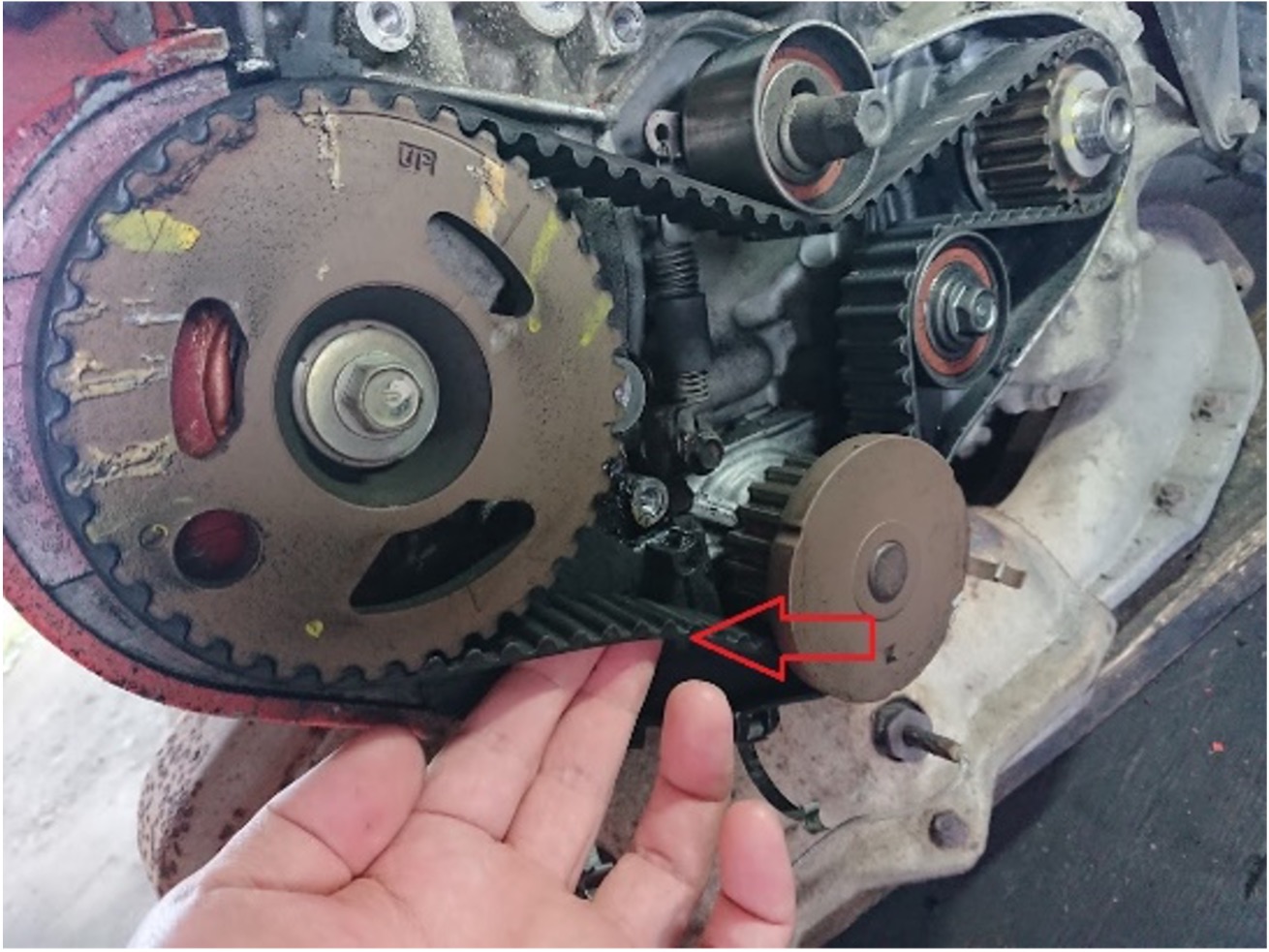 ビートタイミングベルト交換